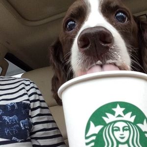 Meet your Posher, Marcy